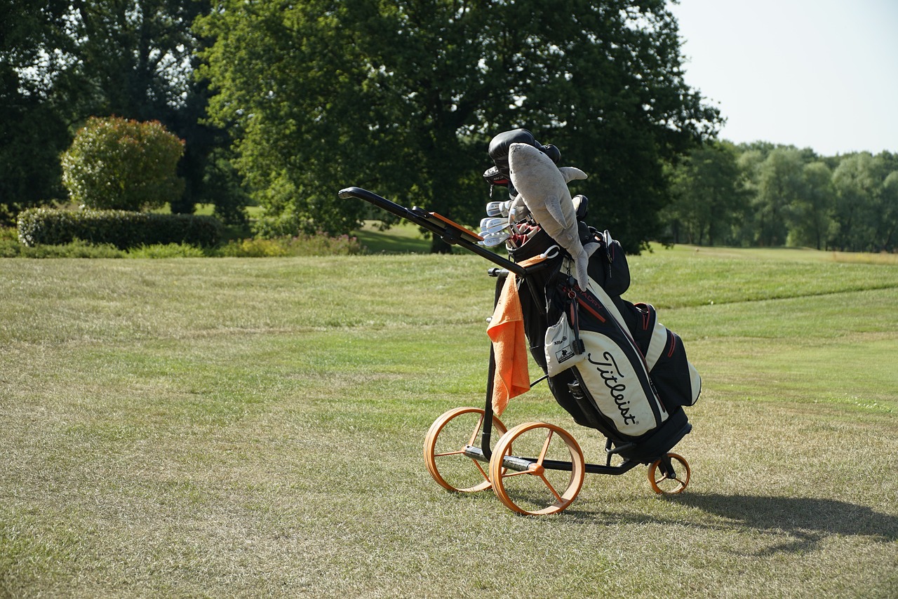 golf bag, trolley, clubs